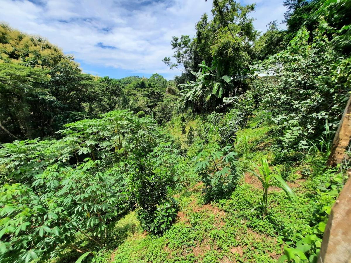 Eco-Turismo Guayacanes Sámara Exterior photo